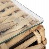 ΣΕΤ ΣΑΛΟΝΙ ΕΞ. ΧΩΡΟΥ 4ΤΜΧ HM11940 ΦΥΣΙΚΟ RATTAN-2ΘΕΣΙΟΣ ΚΑΝΑΠΕΣ-2 ΠΟΛΥΘΡΟΝΕΣ-ΤΡΑΠΕΖΙ