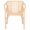 ΠΟΛΥΘΡΟΝΑ MEL ΕΣΩΤΕΡΚΩΝ ΧΩΡΩΝ HM9954.01 ΦΥΣΙΚΟ RATTAN 62x57,5x79,5Υεκ.