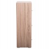 ΝΤΟΥΛΑΠΙ ΜΕ 3 ΑΠΟΘ. ΧΩΡΟΥΣ SORIANO HM9939.11 SONAMA OAK ΜΕΛΑΜΙΝΗ 40x39x119Υεκ.