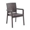 LORA Pro Armchair PP-UV Brown