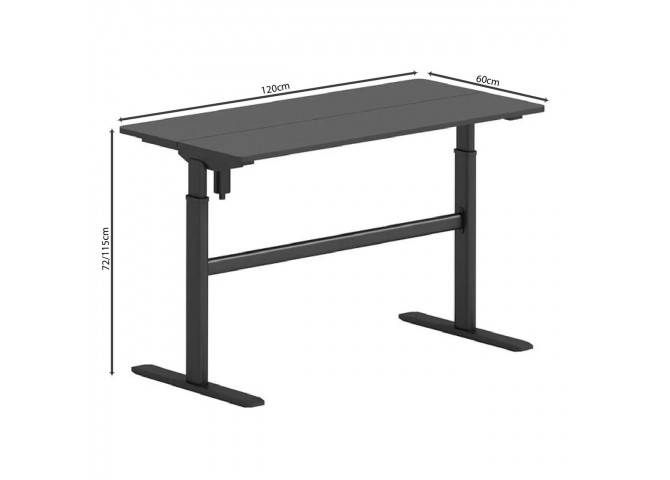 LEVEL Electric Height adjustable Desk, Black